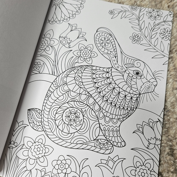 Animals and More Coloring Book - Picture 4 of 7